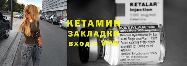 прущие грибы Верея