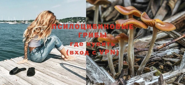 ешки Медвежьегорск
