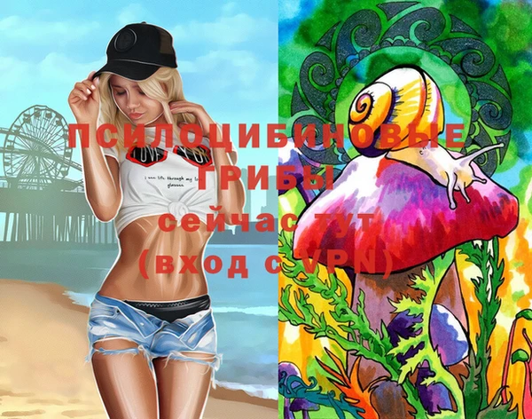 тгк Майский