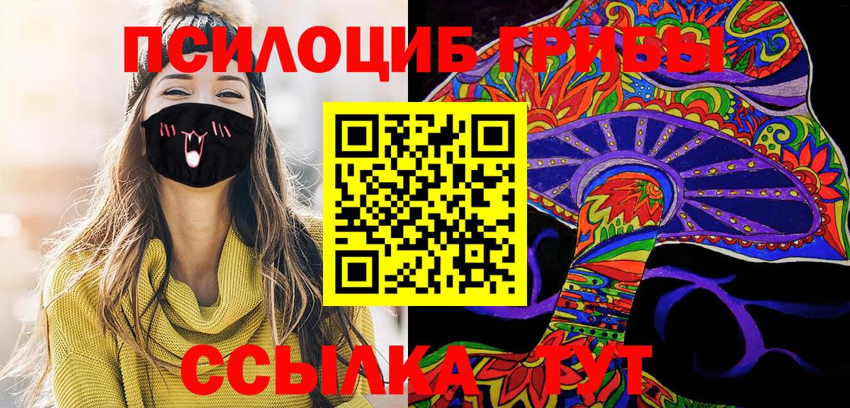 Псилоцибиновые грибы Cubensis Находка