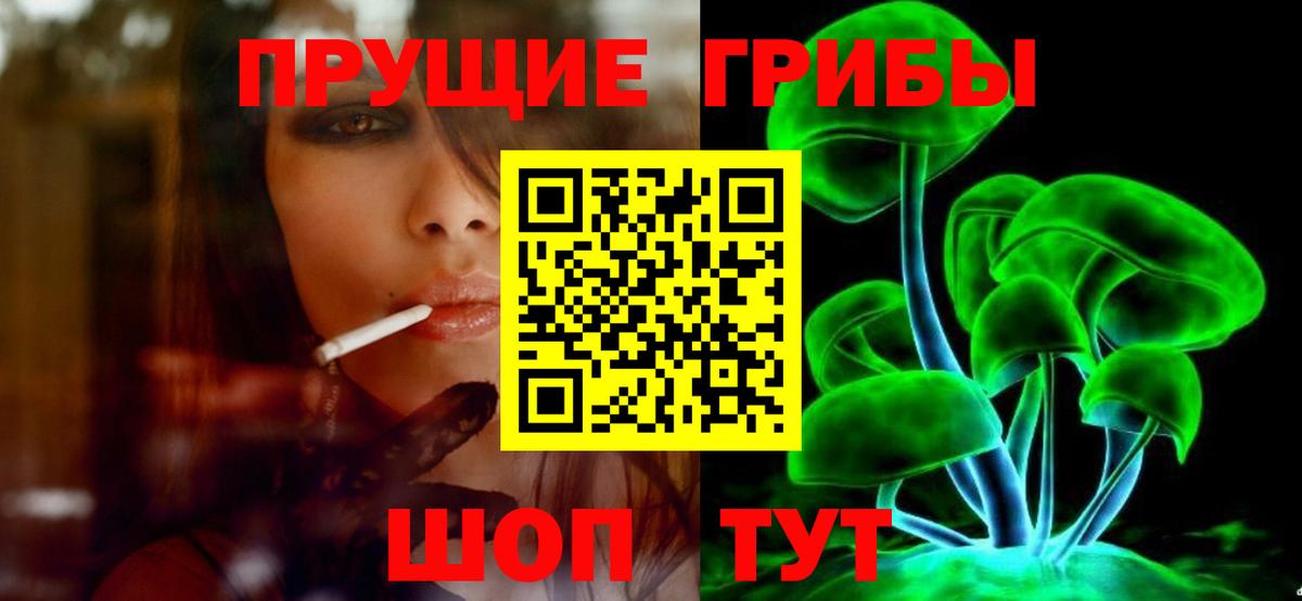 Находка  Псилоцибиновые грибы прущие грибы  Псилоцибиновые грибы Psilocybe  Вход с VPN 